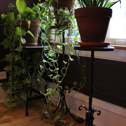 Plant Stand